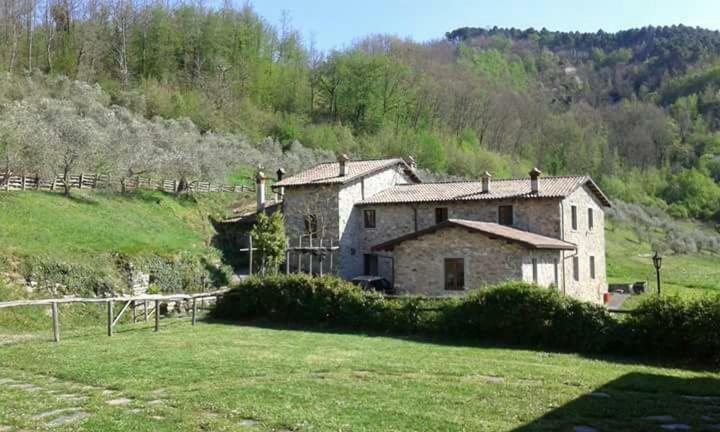 Le Chianine Dei Tognoli Villa Gragnola Exterior photo